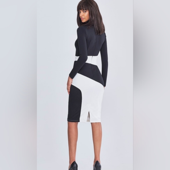 NEW GABRIELLE UNION COLORBLOCK DRESS (SIZE LARGE) - Picture 2 of 2